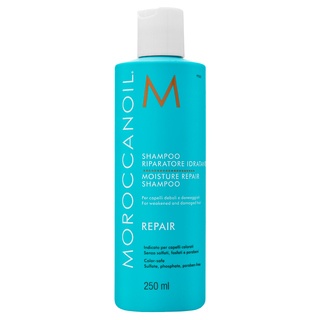 Moroccanoil Repair Moisture Repair Shampoo šampón pre suché a poškodené vlasy 250 ml