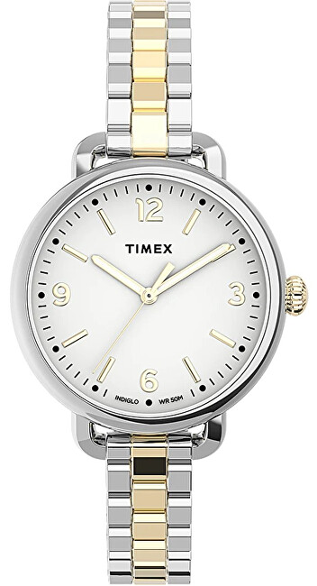 Timex Standard Demi TW2U60200