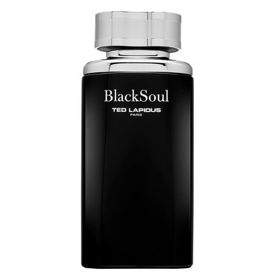 Ted Lapidus Black Soul toaletná voda pre mužov 100 ml PTELABLSOUMXN099797